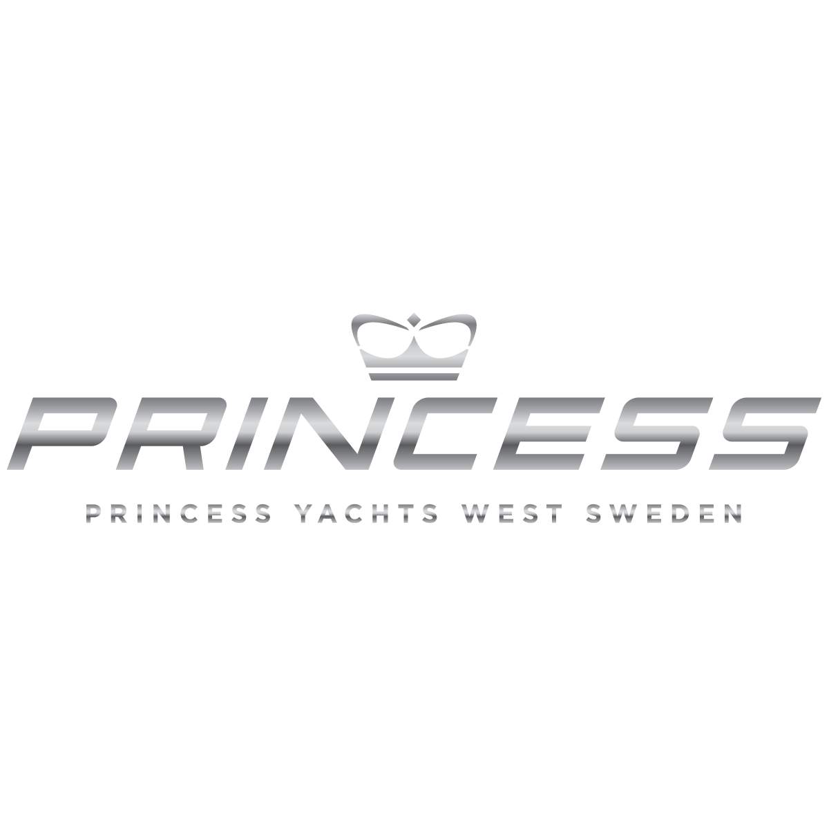 princess yachts logo vector